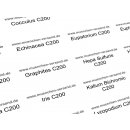Globuli Etiketten, bedruckt mit den gängigsten Homöopathischen Arzneimitteln C200